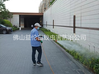 沙头企业园区消杀蚊蝇工程